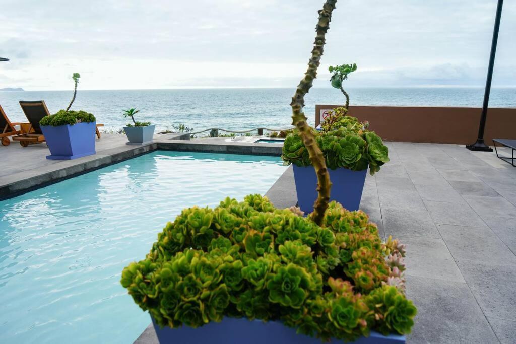 Hotel Suite Luxe Sunset Tijuana Eksteriør bilde